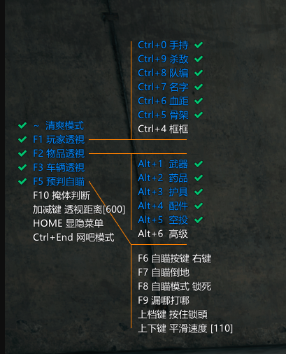 绝地求生SLR辅助