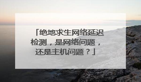 绝地求生开延迟是什么意思