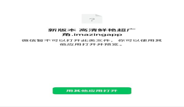 绝地求生掌上助手叫什么