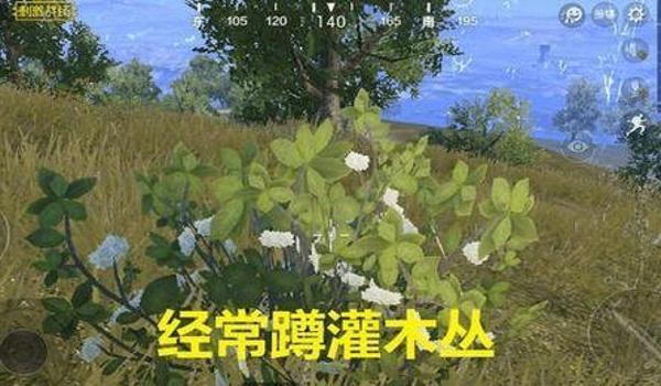 绝地求生枪声显示辅助怎么关闭