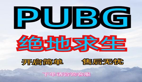 绝地求生能在虚拟机运行吗
