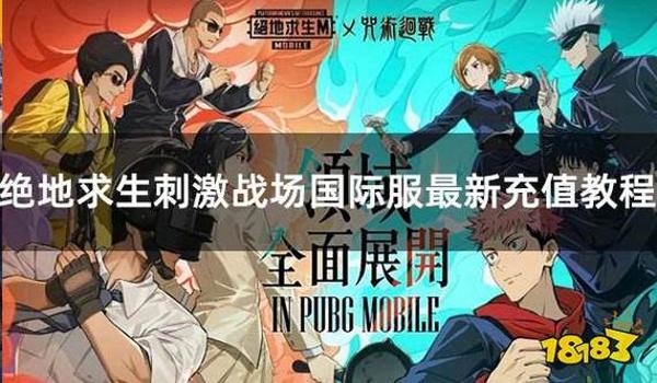 绝地求生手游黑卡辅助有什么用（黑卡辅助在绝地求生手游中的主要功能是什么？）