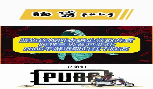 pubg外挂怎么样（近年来pubg外挂的制作成本和定制化趋势是怎样的？）