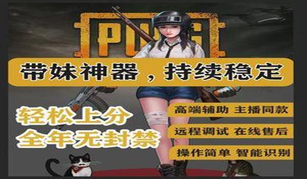 pubg主播外挂叫什么（为什么一些pubg主播选择使用外挂？）