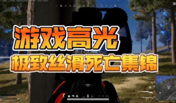 pubg辅助怎么看（pubg辅助的定义和类型是什么？）