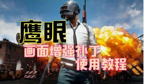鹰眼绝地求生辅助怎么用(鹰眼绝地求生辅助的安装步骤是什么?)
