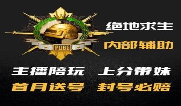 绝地求生辅助名称怎么改