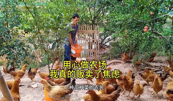 绝地求生大牛小鸟辅助怎么用