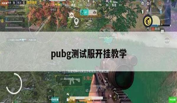 为什么pubg打的好会被当外挂
