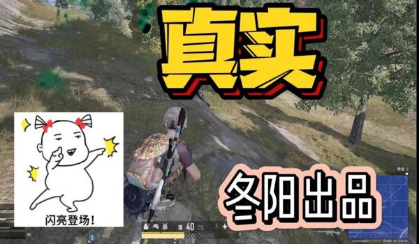 有绝地求生亚服辅助吗（绝地求生亚服辅助的种类有哪些？）