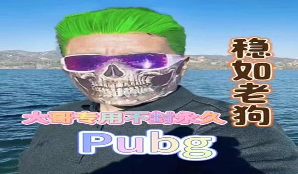 pubg辅助都有什么（使用绝地求生辅助工具的风险和注意事项是什么？）