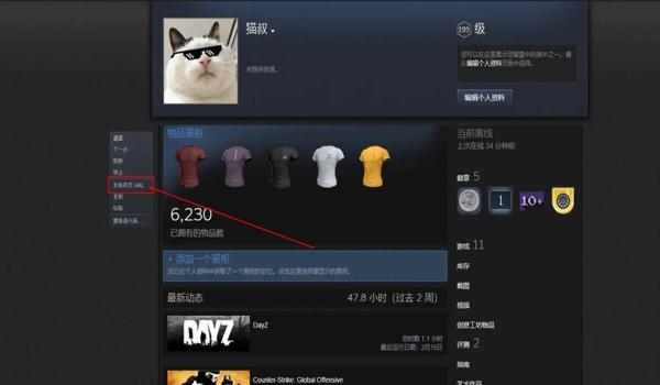 pubg账号是什么格式