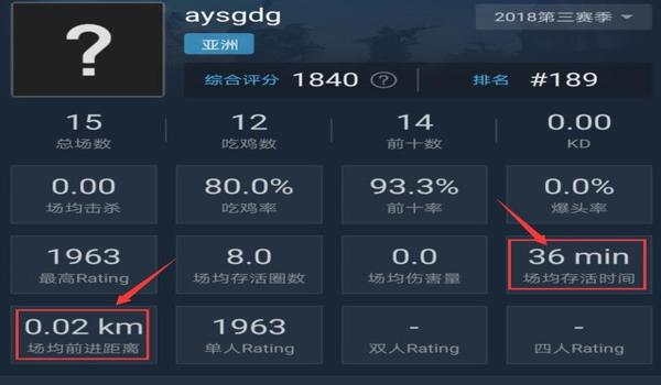 绝地求生辅助名称叫什么