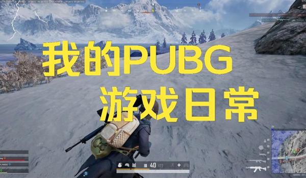 怎么查pubgid（如何在绝地求生游戏中查找自己的pubg id？）
