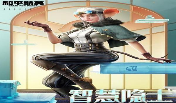 绝地求生奇缘辅助有什么用