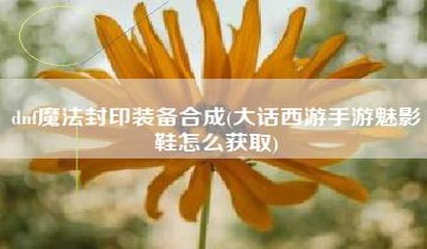 魅影手游辅助怎么用（魅影手游辅助工具的基本使用步骤是什么？）
