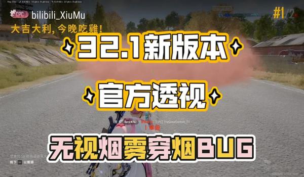 绝地求生纯透视辅助怎么用（绝地求生纯透视辅助的安装步骤是什么？）