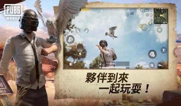 pubg体验服能玩吗（pubg体验服的基本介绍是什么？）