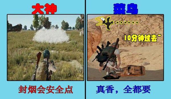 绝地求生辅助带萌新怎么玩
