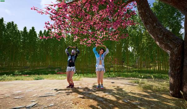 ps4玩pubg有辅助瞄准吗