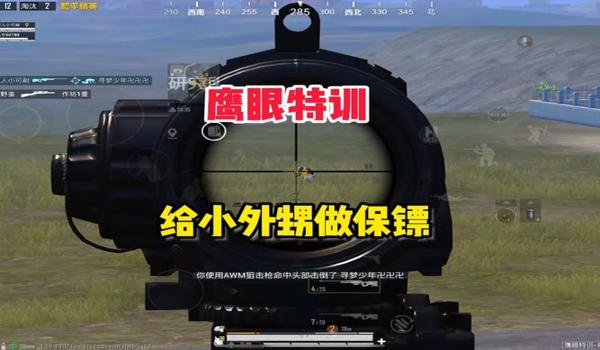 吃鸡中鹰眼是什么意思（在《和平精英》中，鹰眼称号的获得条件是什么？）