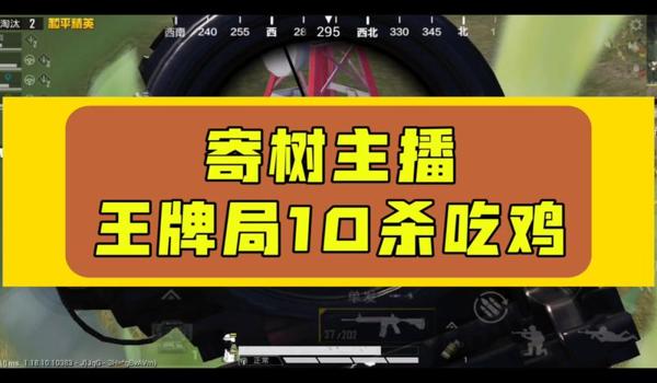 绝地求生上树辅助怎么设置