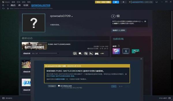 pubg怎么解封禁