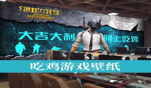 绝地求生主播定制版辅助是什么（绝地求生主播定制版辅助的定义是什么？）