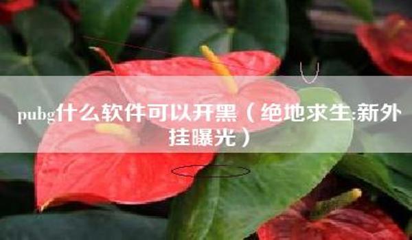 pubg透视挂怎么开（pubg透视挂的基本概念是什么？）