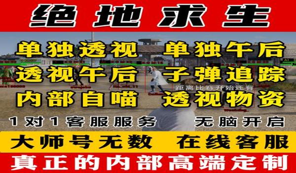pubg外挂有巨大挂吗（目前pubg外挂的种类有哪些？）