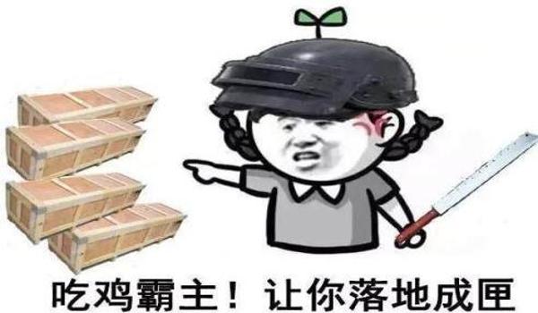 现在绝地求生外挂什么价（哪些因素影响绝地求生外挂的定价？）