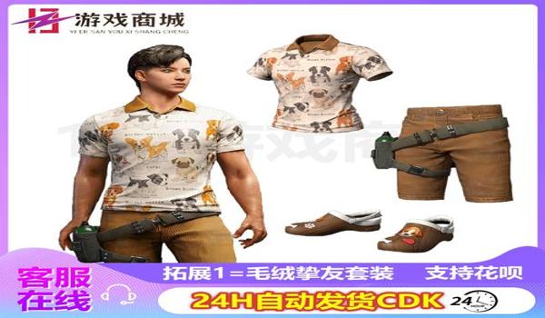 pubg怎么冲g币