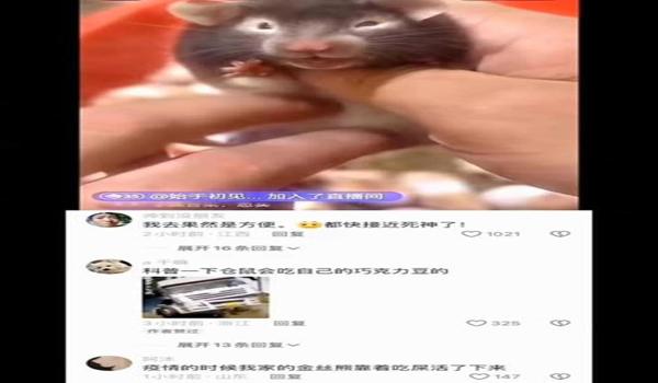 大嘴花如何卡无敌