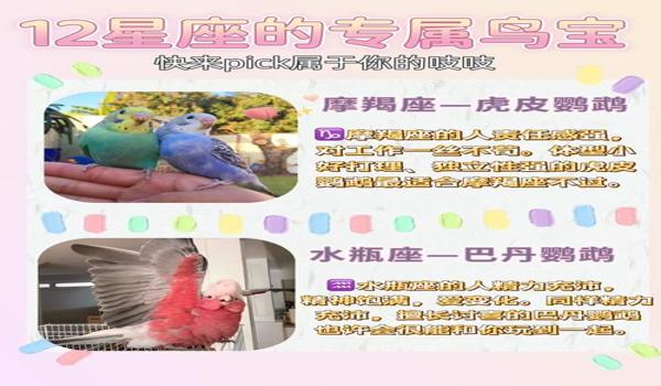双子座的吃鸡本命武器是什么