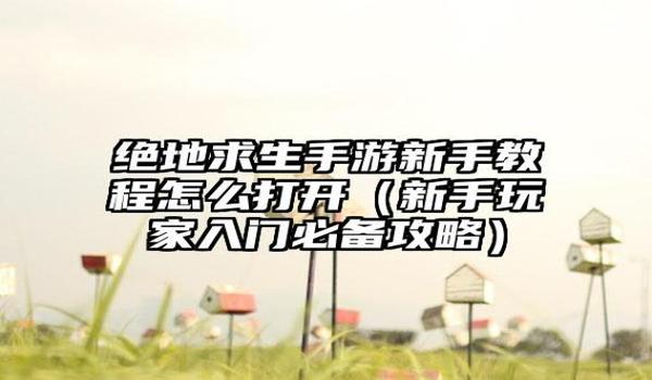 手游绝地求生极致辅助怎么用