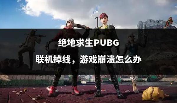 绝地求生开辅助就崩溃怎么解决