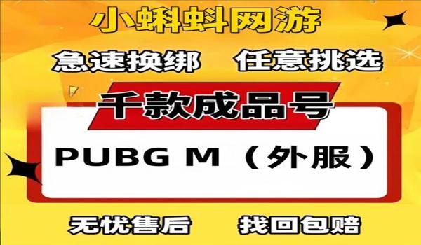 绝地求生怎么设置外服（使用加速器玩《绝地求生》外服的具体方法是什么？）