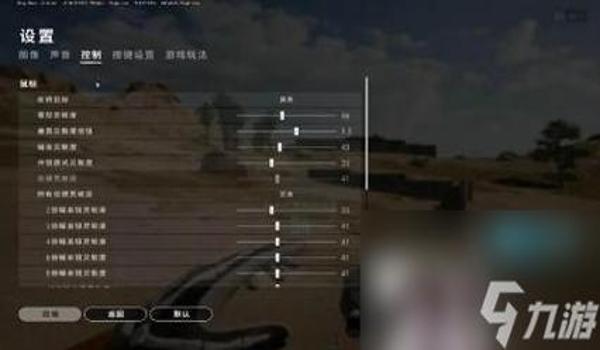 pubg开辅助能当职业选手吗