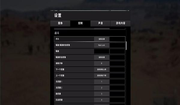 绝地求生2辅助瞄准点怎么设置