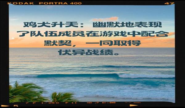绝地求生名字怎么取