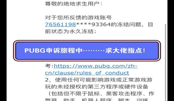 pubg辅助用的人少封号几率就小吗