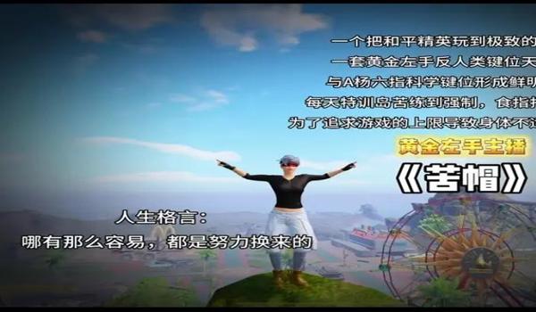 绝地求生主播用得辅助吗