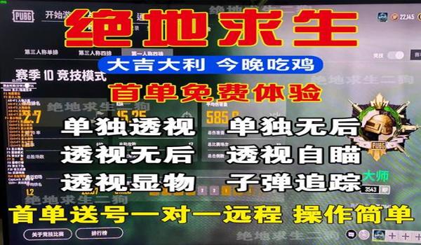 绝地求生战绩辅助怎么设置