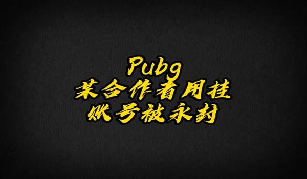 pubg登录外挂的号怎么退出（如何在pubg中安全退出被外挂登录的账号？）