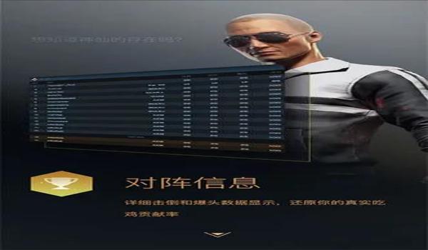 绝地求生战绩辅助怎么开