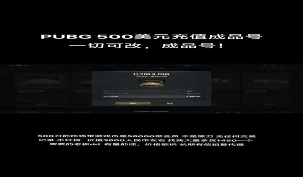 pubg需要买账号吗