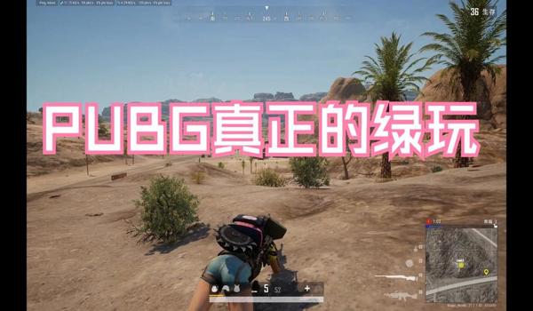 绝地求生ps辅助掉线怎么解决（如何使用biubiu修复绝地求生ps辅助掉线问题？）