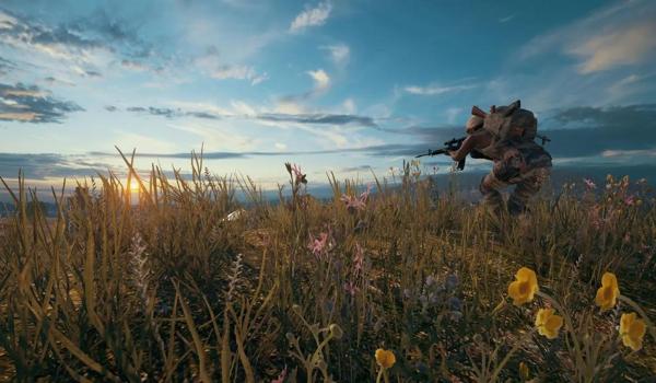 pubg17位id怎么查战绩（如何在pubg官网上查找玩家的17位id战绩？）