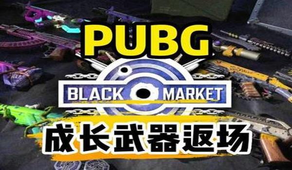 绝地求生齿轮辅助有什么用