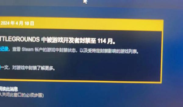 pubg乱举报人会封号吗